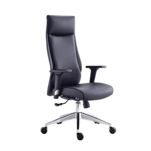 SIÈGE DE BUREAU ERGONOMIQUE