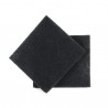 Filtre charbon