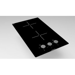 Domino 2 zones 3000 watts vitro minuterie moderna