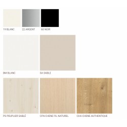 TABLE  RECTANGULAIRE 120*60