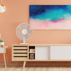 Ventilateur table 30cm pour Ventilation