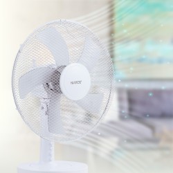 Ventilateur table 30cm pour Ventilation